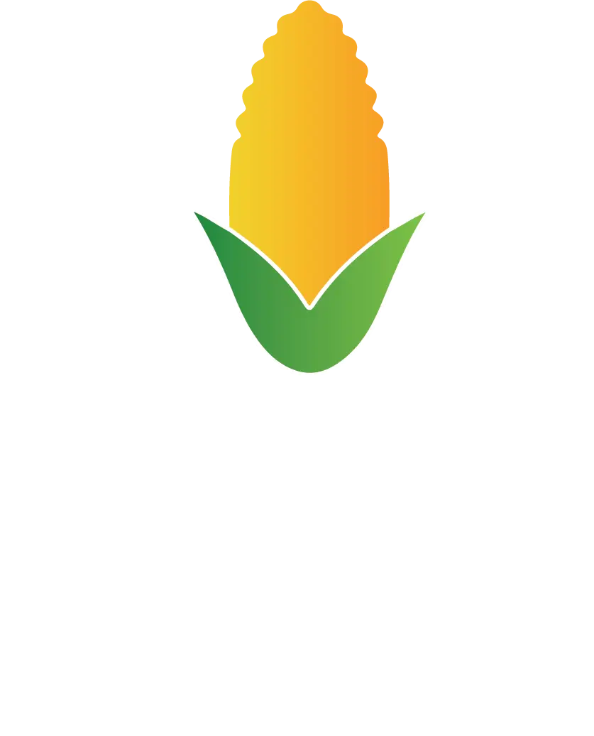 Sweet Corn