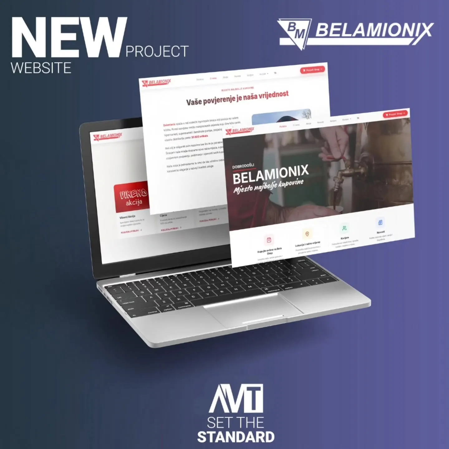 Belamionix Website – Projektansicht 1